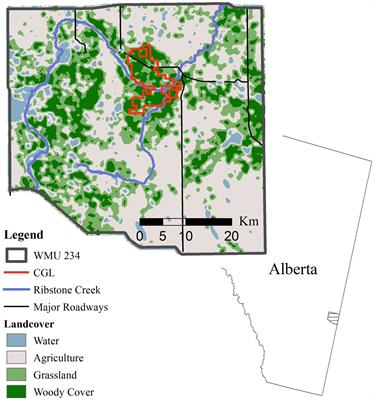 Risky business: relating probability of direct contact to risk of chronic wasting disease